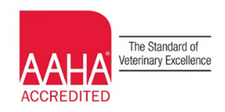 AAHA Accredited