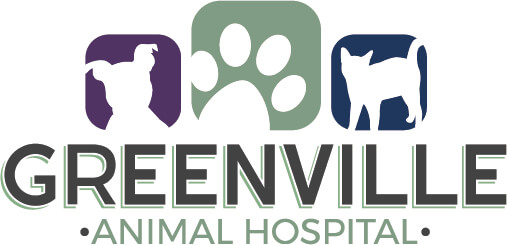 Greenville Animal Hospital