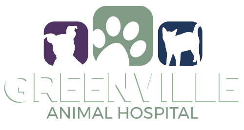 Greenville-white-greenville