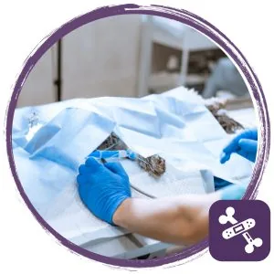 Pet surgery image w icon-7