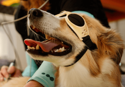 Laser Therapy